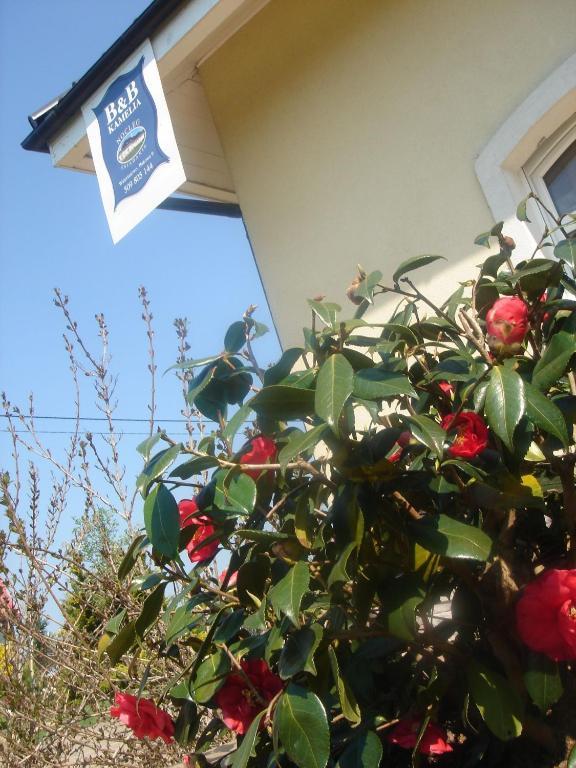B&B Kamelia Komorniki  Exterior foto